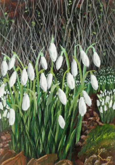 Snowdrop-patch