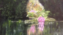 Water Vole